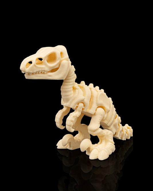 Skeleton Dinosaurs | 3D Geprinte Skelet Dinosaurussen Collectie