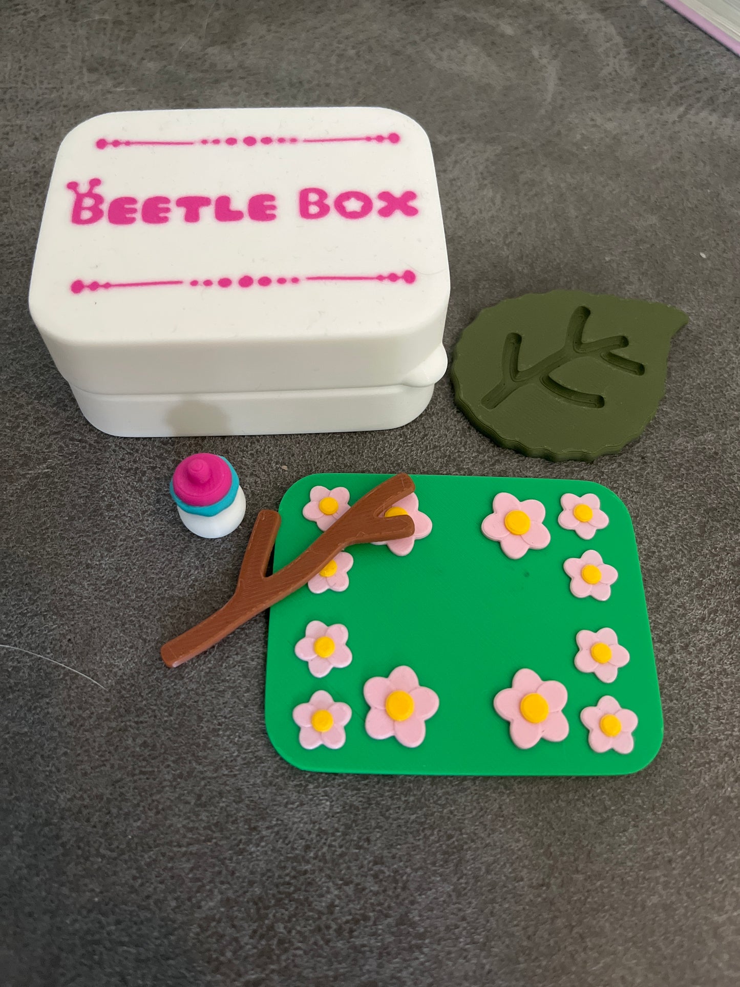 Beetle box