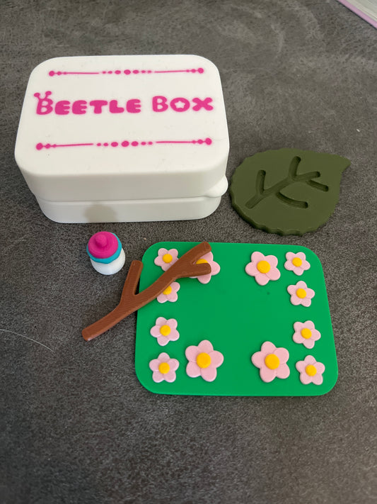 Beetle box