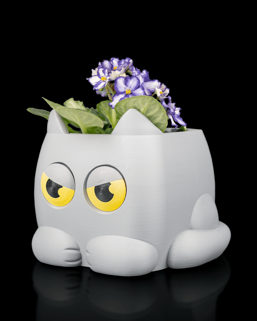Grumpy Kat Plantenpot | 3D Geprinte Bloempot voor Kamerplanten