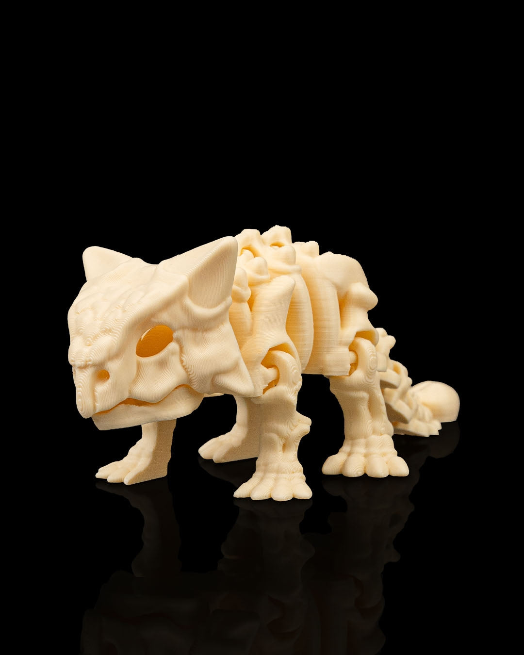 Skeleton Dinosaurs | 3D Geprinte Skelet Dinosaurussen Collectie