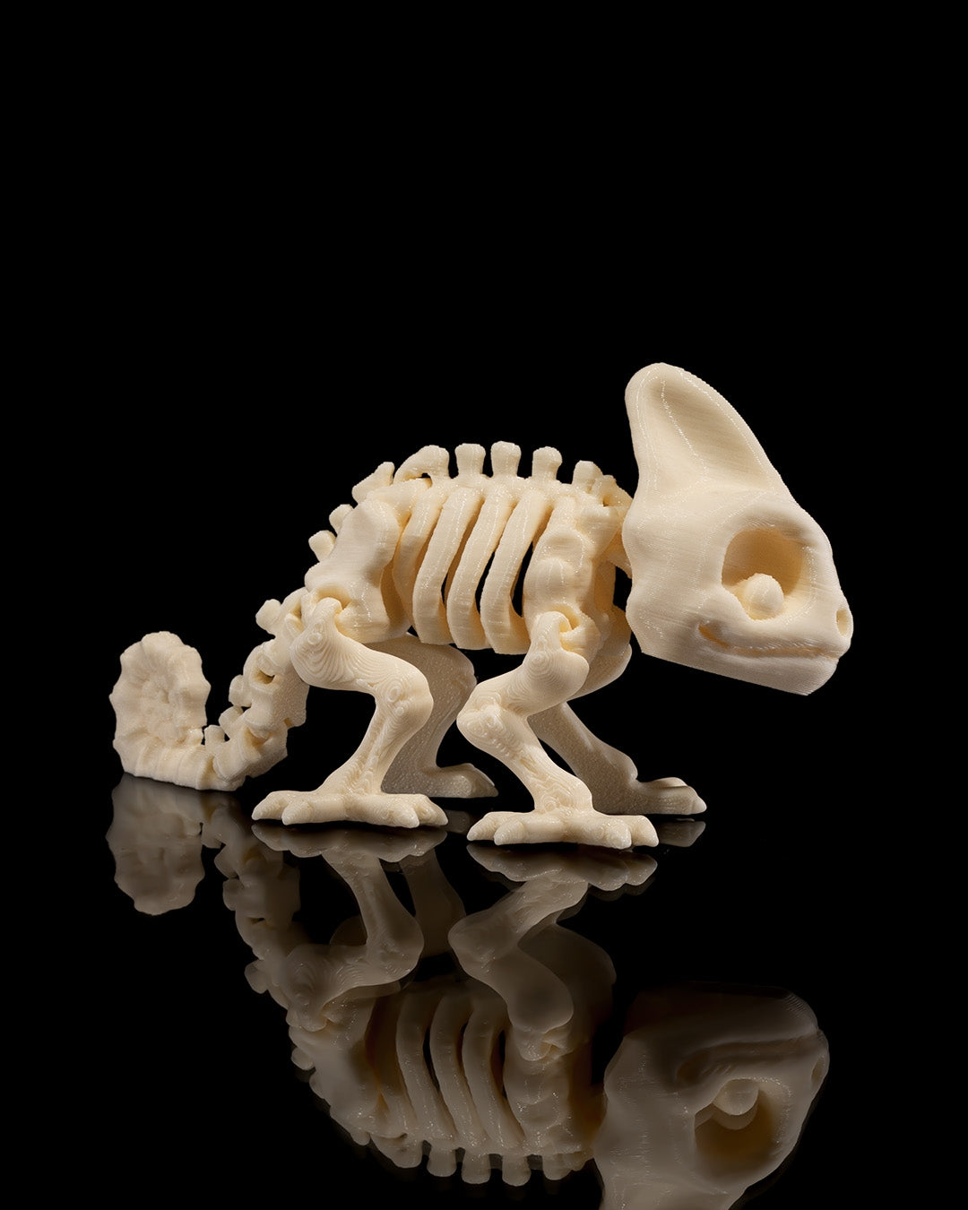 Skeleton Fantasy Animals | 3D Geprinte Skelet Dieren Collectie