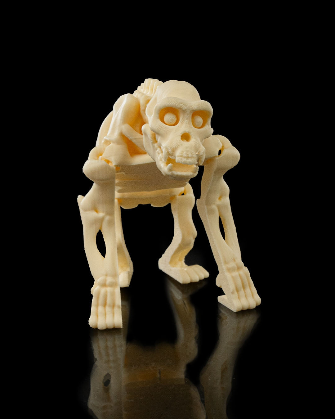 Skeleton Safari Animals | 3D Geprinte Skelet Safari Dieren Collectie