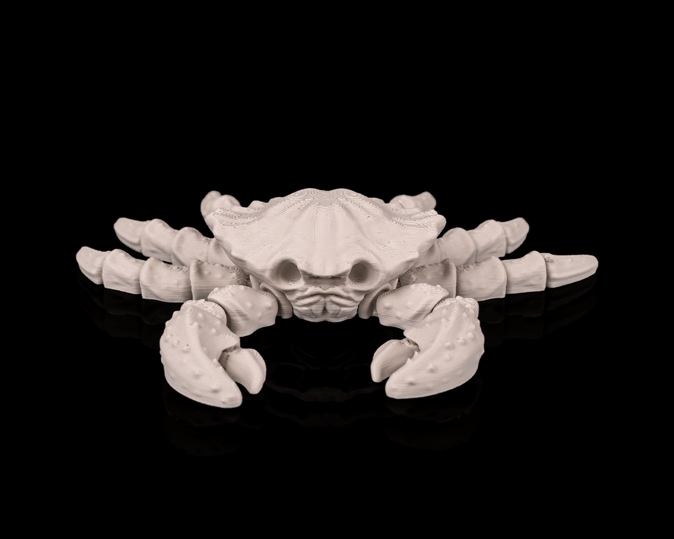 Skeleton Sea Creatures | 3D Geprinte Skelet Zeedieren Collectie