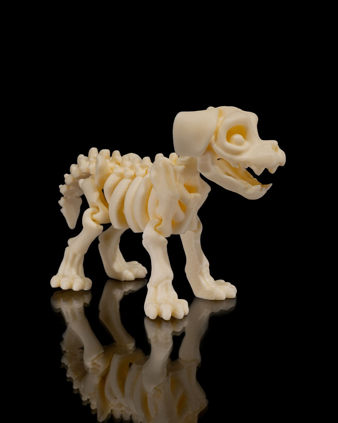 Skeleton Fantasy Animals | 3D Geprinte Skelet Dieren Collectie