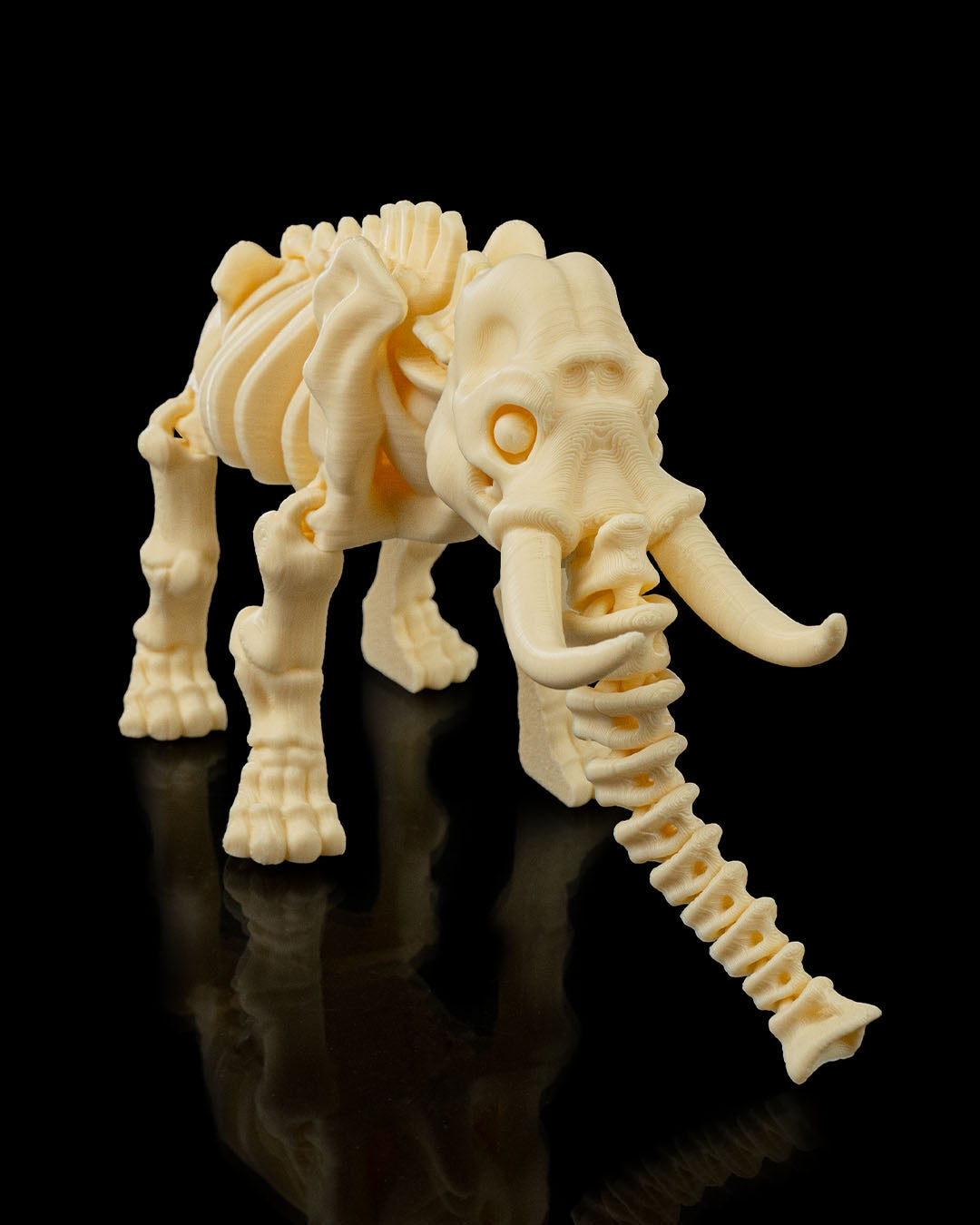 Skeleton Safari Animals | 3D Geprinte Skelet Safari Dieren Collectie