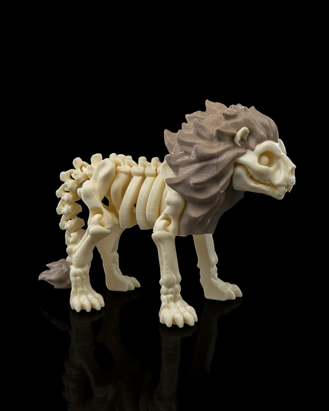 Skeleton Safari Animals | 3D Geprinte Skelet Safari Dieren Collectie