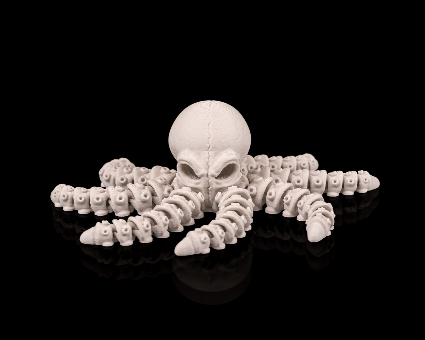 Skeleton Sea Creatures | 3D Geprinte Skelet Zeedieren Collectie