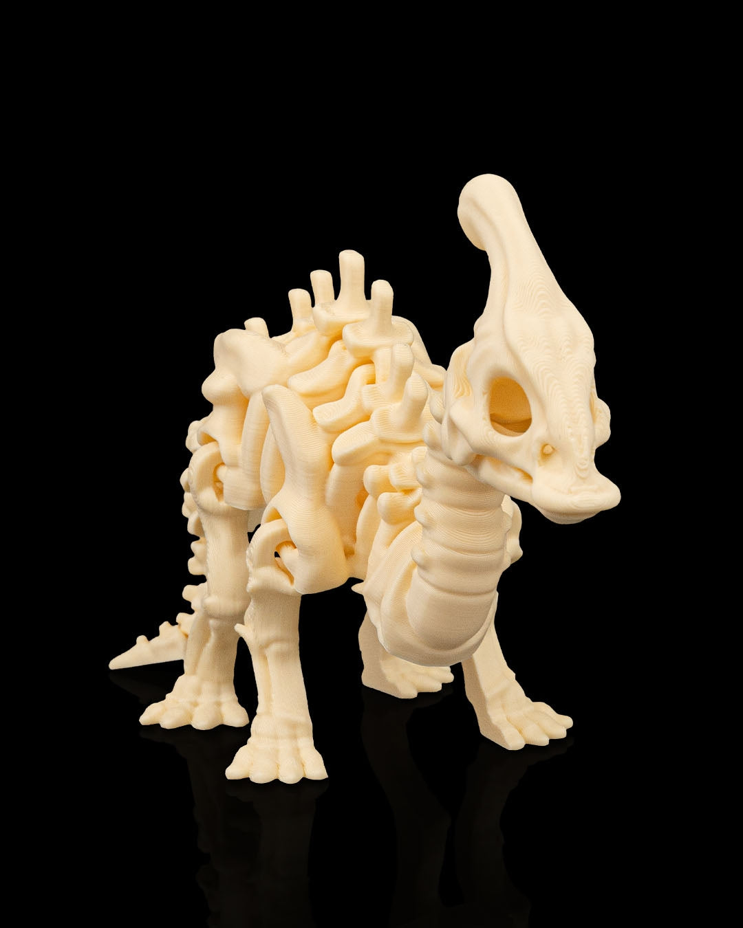 Skeleton Dinosaurs | 3D Geprinte Skelet Dinosaurussen Collectie