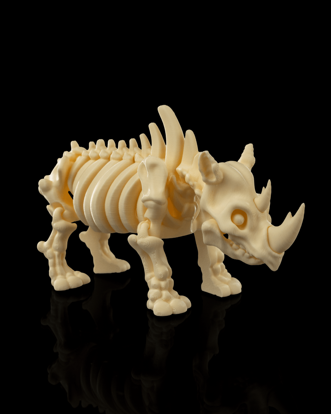 Skeleton Safari Animals | 3D Geprinte Skelet Safari Dieren Collectie