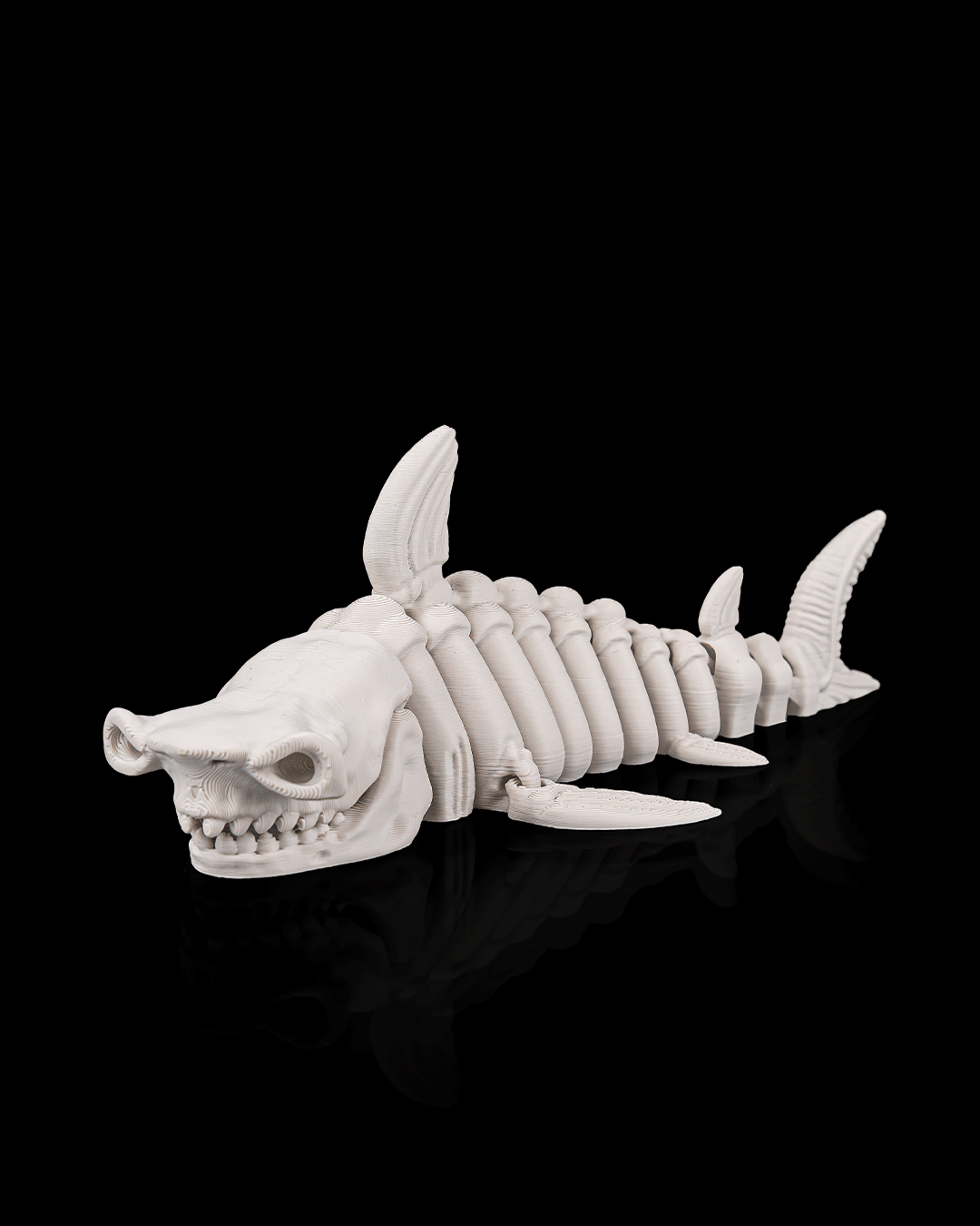 Skeleton Sea Creatures | 3D Geprinte Skelet Zeedieren Collectie