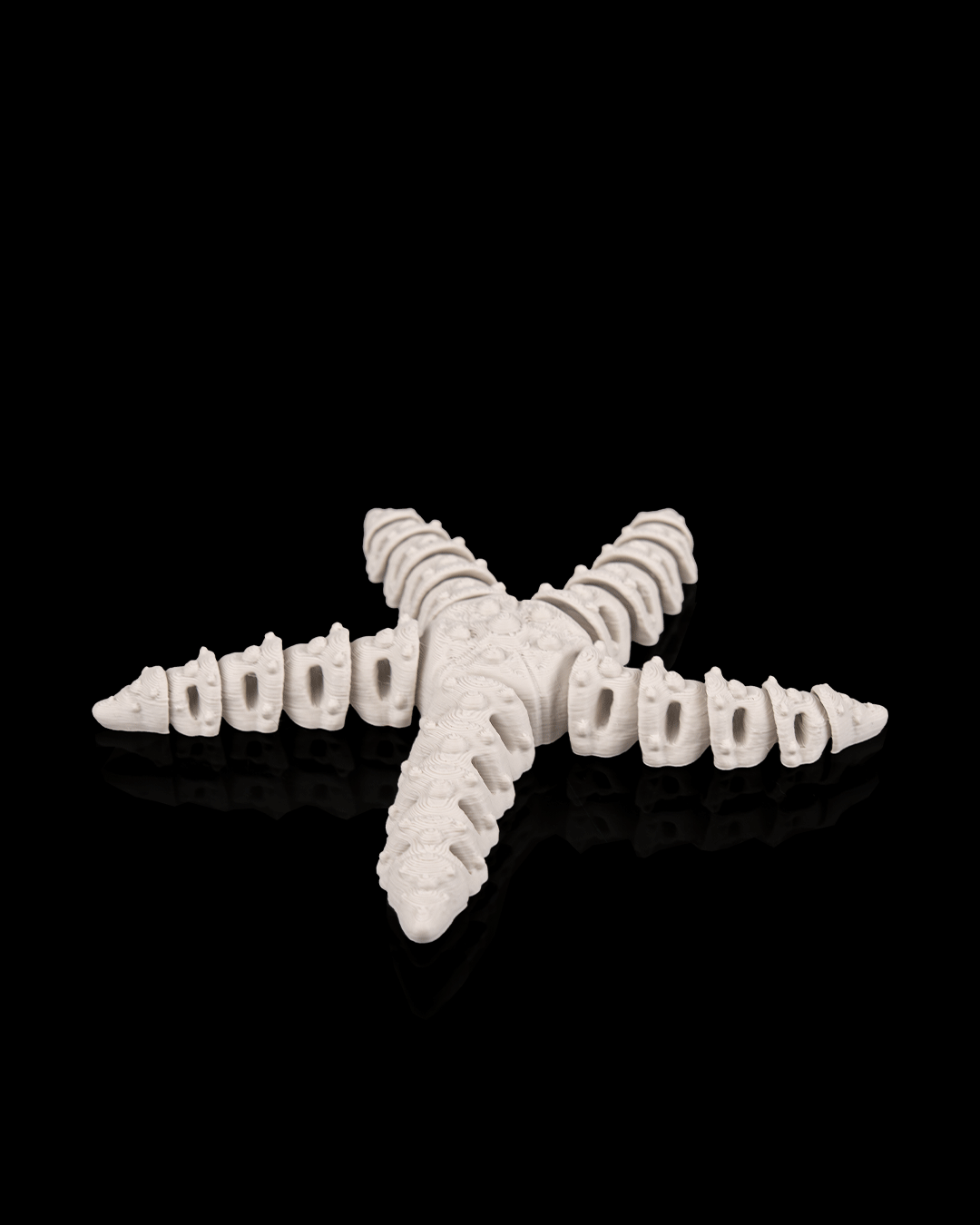 Skeleton Sea Creatures | 3D Geprinte Skelet Zeedieren Collectie