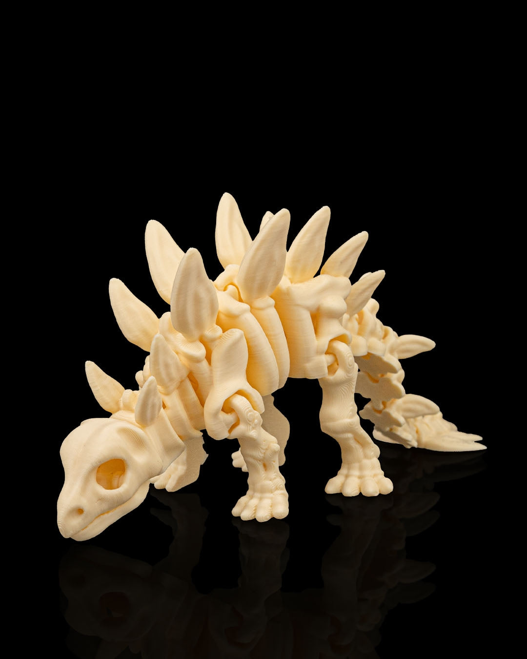 Skeleton Dinosaurs | 3D Geprinte Skelet Dinosaurussen Collectie