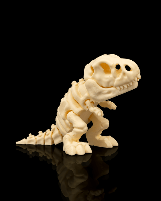 Skeleton Dinosaurs | 3D Geprinte Skelet Dinosaurussen Collectie