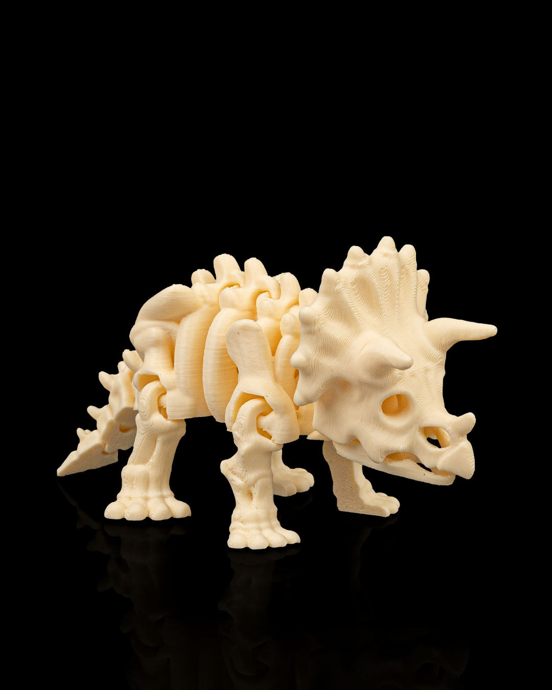 Skeleton Dinosaurs | 3D Geprinte Skelet Dinosaurussen Collectie